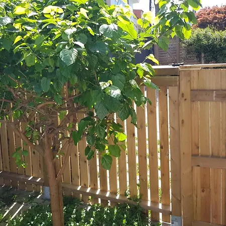 Apartman Casa Magda Vigo