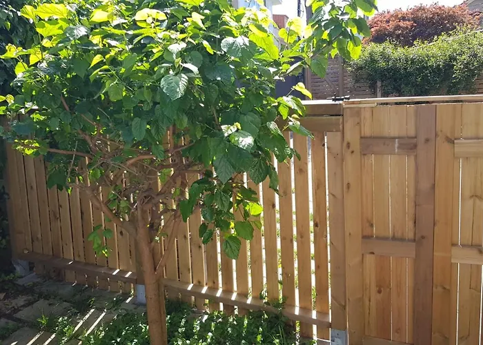 Apartment Casa Magda Vigo