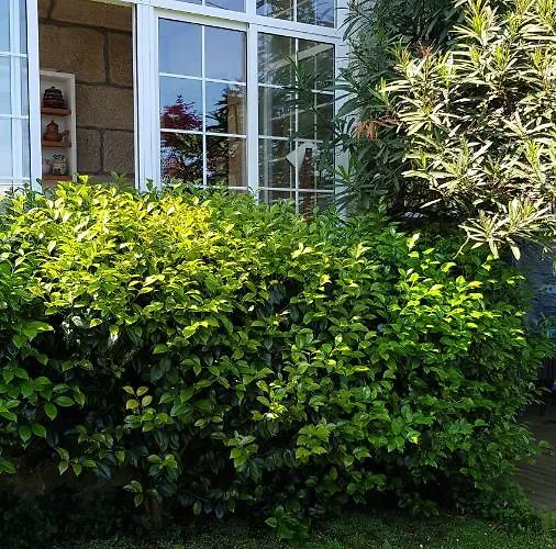 Apartment Casa Magda