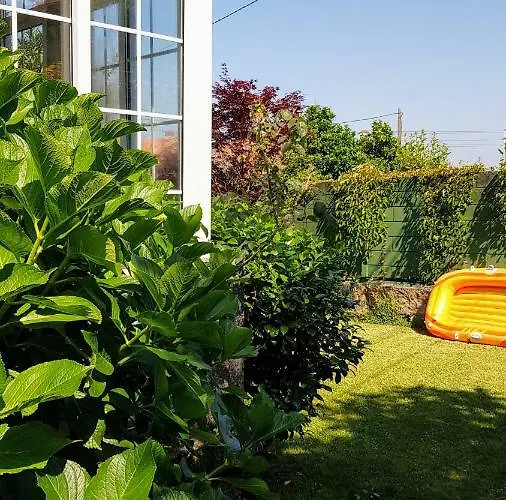 Apartment Casa Magda *